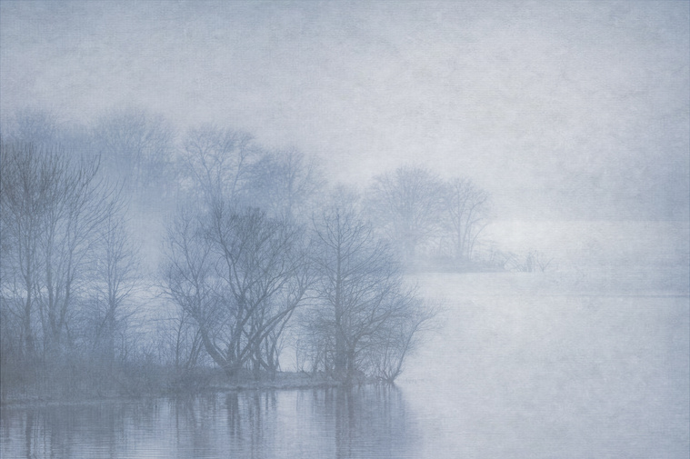 Impressionistic, ethereal picture of winter trees in fog. Receding Peninsulas. Seeing in Sixes 2018. Jordan Lake, Chapel Hill, NC