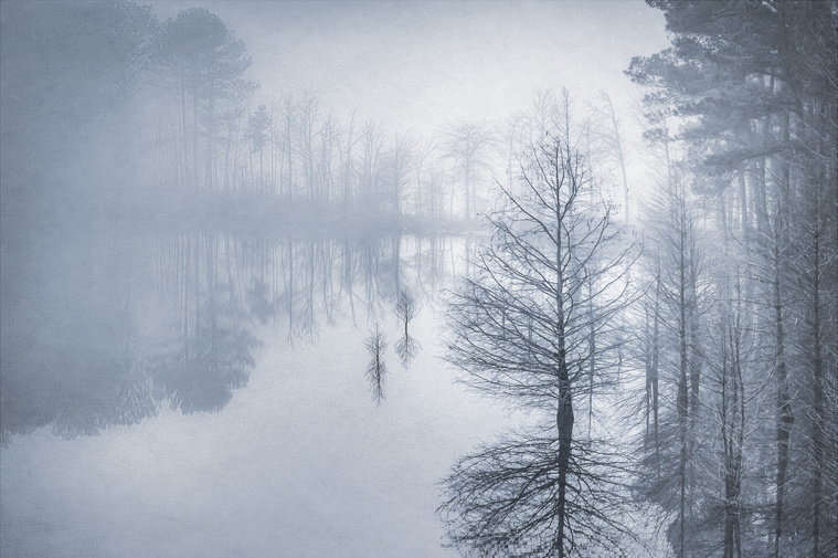 Atmospheric impressionistic photography. The Family. Winter trees in flooded, foggy Jordan Lake. Reflections. Ethereal. Seeing in Sixes 2018. 