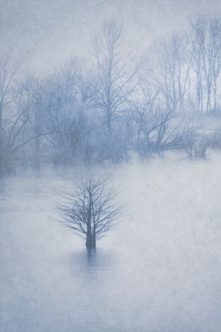 Standing Out by Lynne Feiss Necrason in 