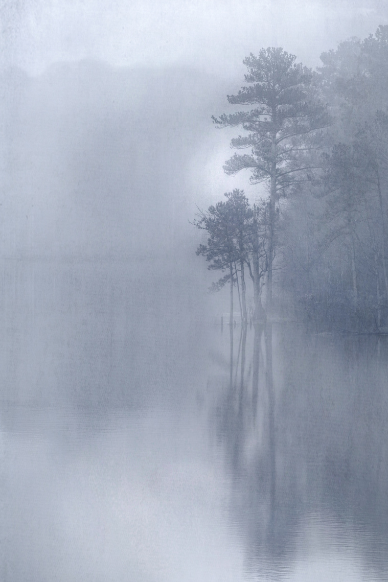 Finding Peace, part of a series of six images in 2018 Seeing in Sixes by LensWork. Impressionistic, atmospheric, ethereal winter trees in fog on Jordan Lake, Chapel Hill, NC. By Lynne Feiss Necrason