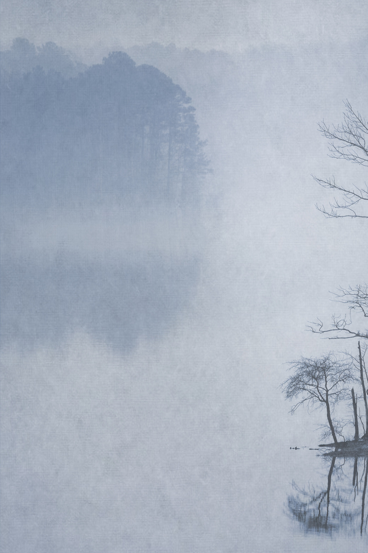 The Little Sentinel. 2018 Seeing in Sixes by LensWork. A Tranquil Morning by Lynne Feiss Necrason. Impressionistic photography. Winter trees in fog on Jordan Lake, Chapel Hill, NC. 