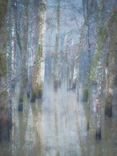 A Watery Ghostly Trail