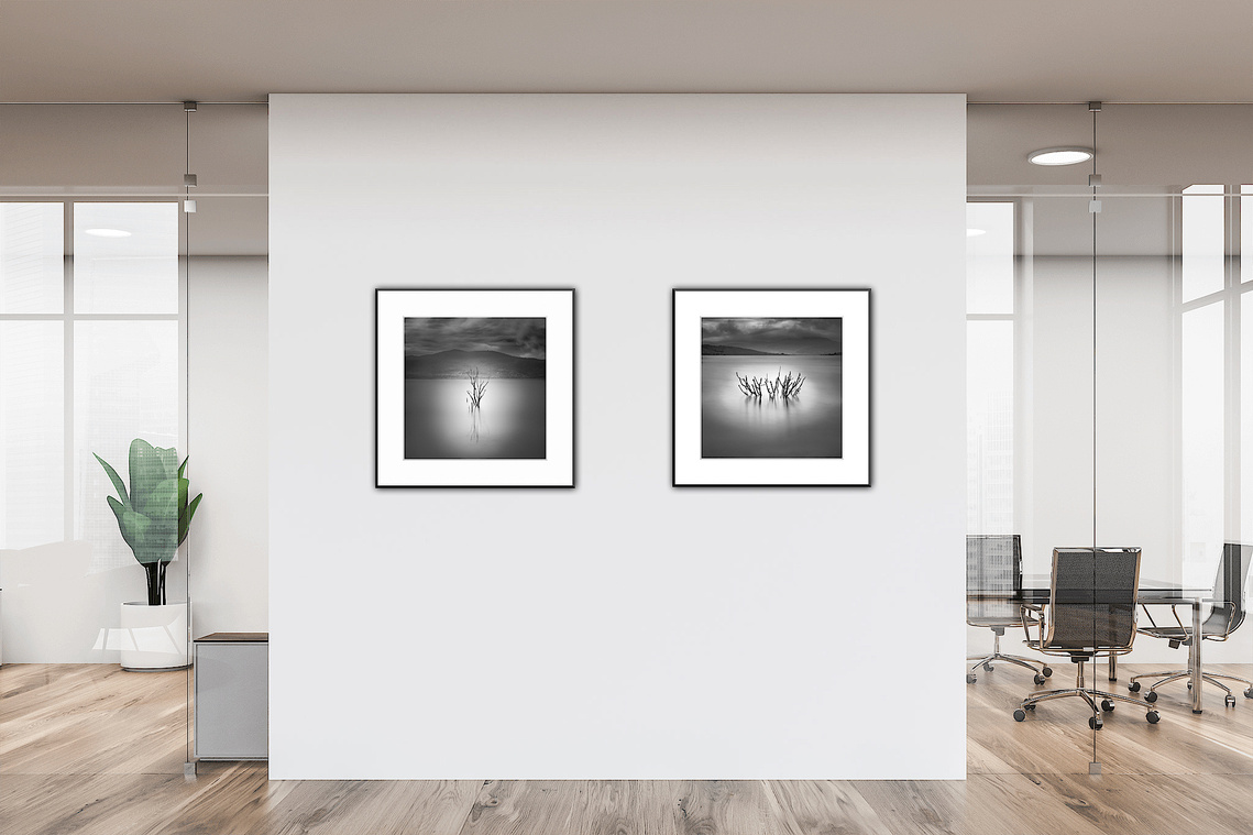 When a professional look is needed to fit sleek surroundings, put these twins up in nice large square frames.