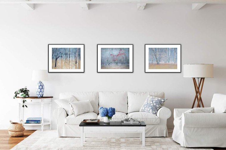 White rooms are so easy to live with but they need a little punch of color. These three framed pictures bring just the right amount and even add a little complementary color to the blue. They were all taken the same morning in a foggy flooded forest so th