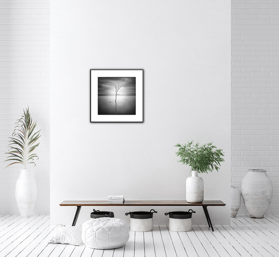 Minimalism is in now! This fine art black and white piece serves to remind us that even trees fight to stay alive as it provides a roost for many small birds.