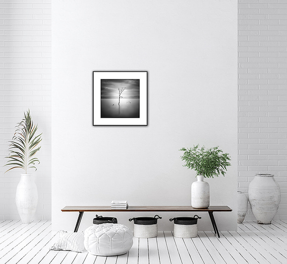Minimalism is in now! This fine art black and white piece serves to remind us that even trees fight to stay alive as it provides a roost for many small birds.