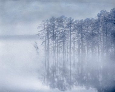 Blanketed in Fog