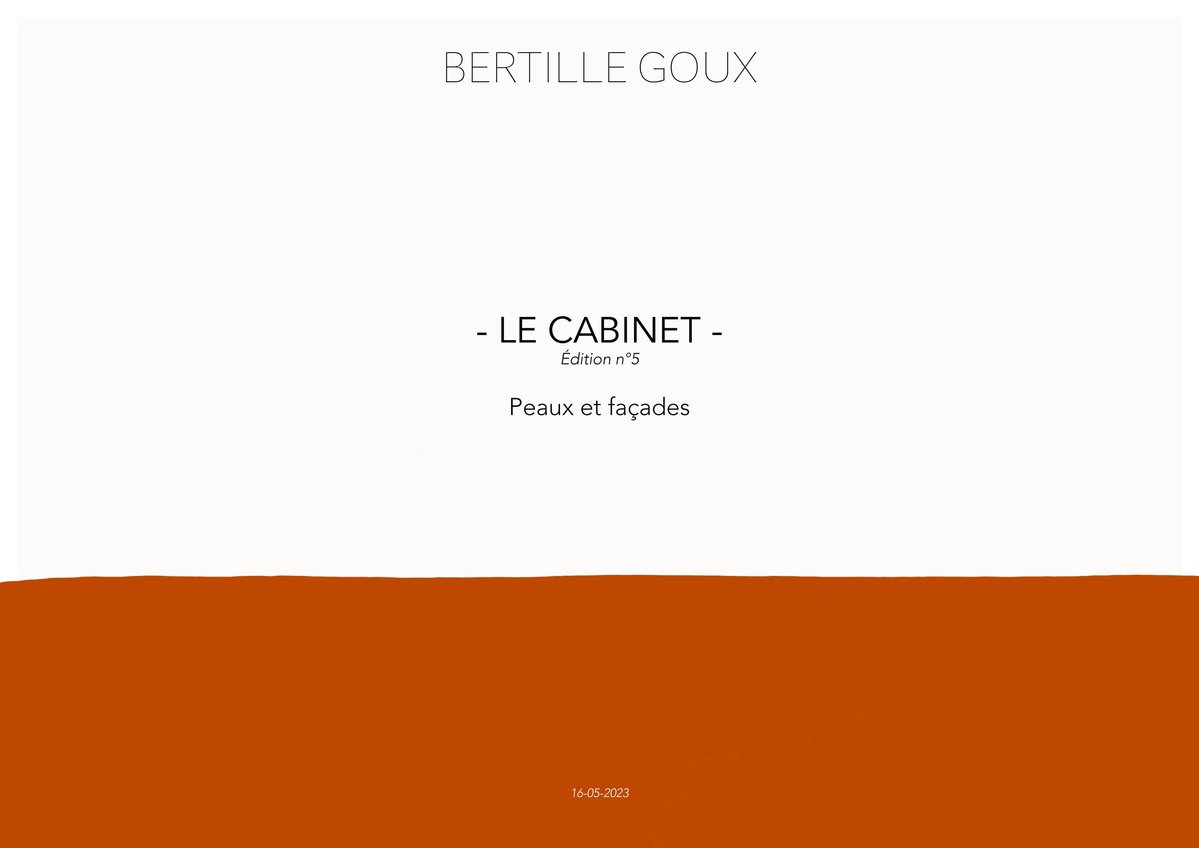 Edition n°5 - LE CABINET - Peaux et façades