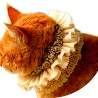 What you can make in Shirret: use my special crochet needle, shirret cord, to make luxury rugs with fabric scraps, cats love shirret, new in crochet.