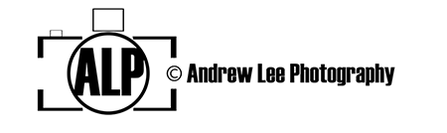 Andrew Lee's Portfolio