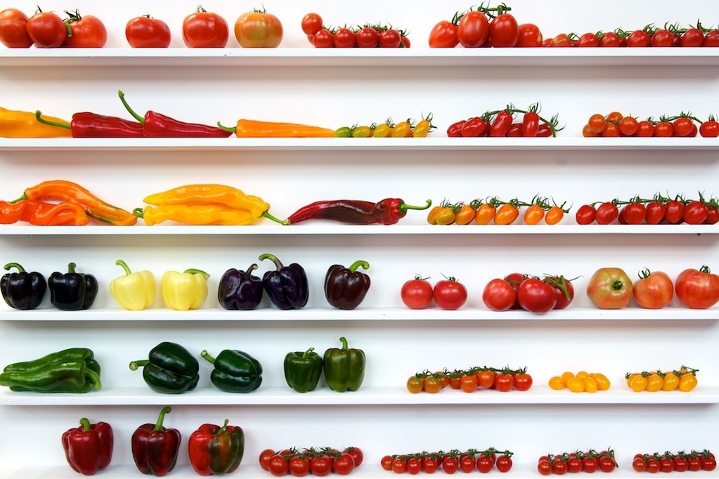 food photography, food styling, food photographer, cairo, egypt, middle east, Dubai, KSA, Lebanon,