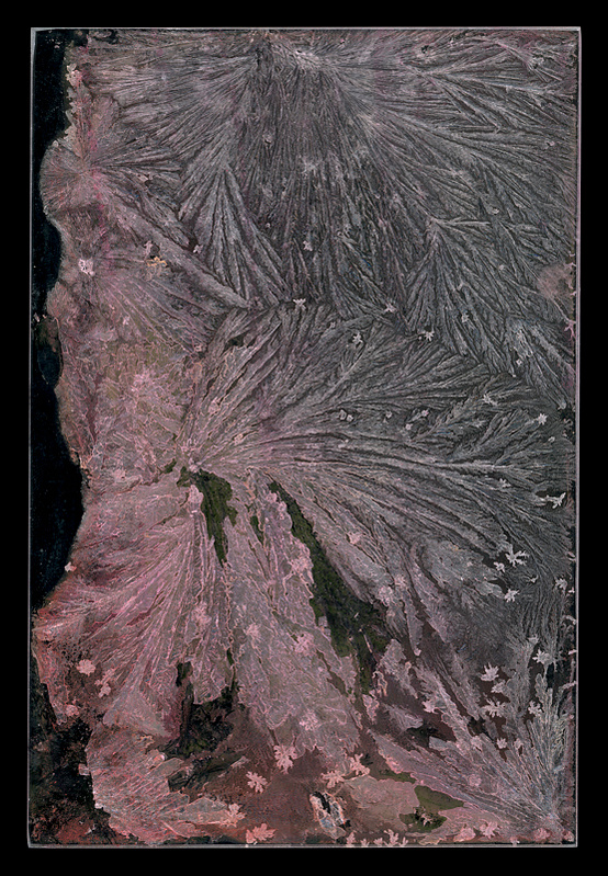 pink salt crystals on a flat surface, dendritic

#contemporaryart

#contemporaryphotography

#newwork

#salt

#saltasmetaphor

#saltcrystals

#colorphotography

#ecology

#ecologiesofrestoration

#restoration

#healing

#resiliency

#micromacro