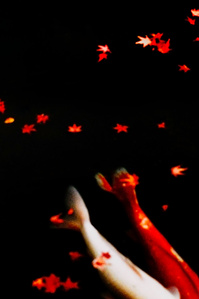 Koi swim in a garden pond, dappled with autumnal Japanese maple leaves, Kyoto. 
Photograph from the series Forbidden Colours by Matthew James Fleming. Taken with a Leica M6 and Kodak Portra 400.