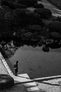 A hotel employee admires the Koi carp in the pond at the Fuji View Hotel, Kawaguchi.
From the photographic series "In Praise of Shadows". Shot on black and white film by photographer Matthew Fleming. 