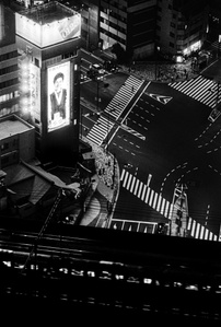 Neon lights and trains flash, looking down on Shiodome, Tokyo. 
From the photographic series "In Praise of Shadows". Shot on black and white film by photographer Matthew Fleming. 
