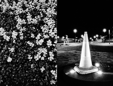 Photograph by Matthew James Fleming from the series &quot;Journal&quot;. Taken with Ilford HP5 35mm film in Lancashire. 
