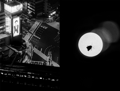 Photograph by Matthew James Fleming from the series &quot;Journal&quot;, Issue 2: The Descent. Taken with Ilford HP5 35mm film in Tokyo.