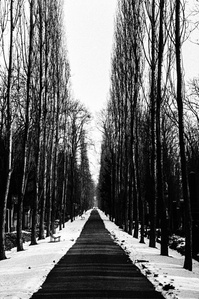Photograph by Matthew James Fleming from the Journal : Number 3 The Gold of  Time. The Silver of Memory. Taken with Ilford HP5 35mm film in Prague.