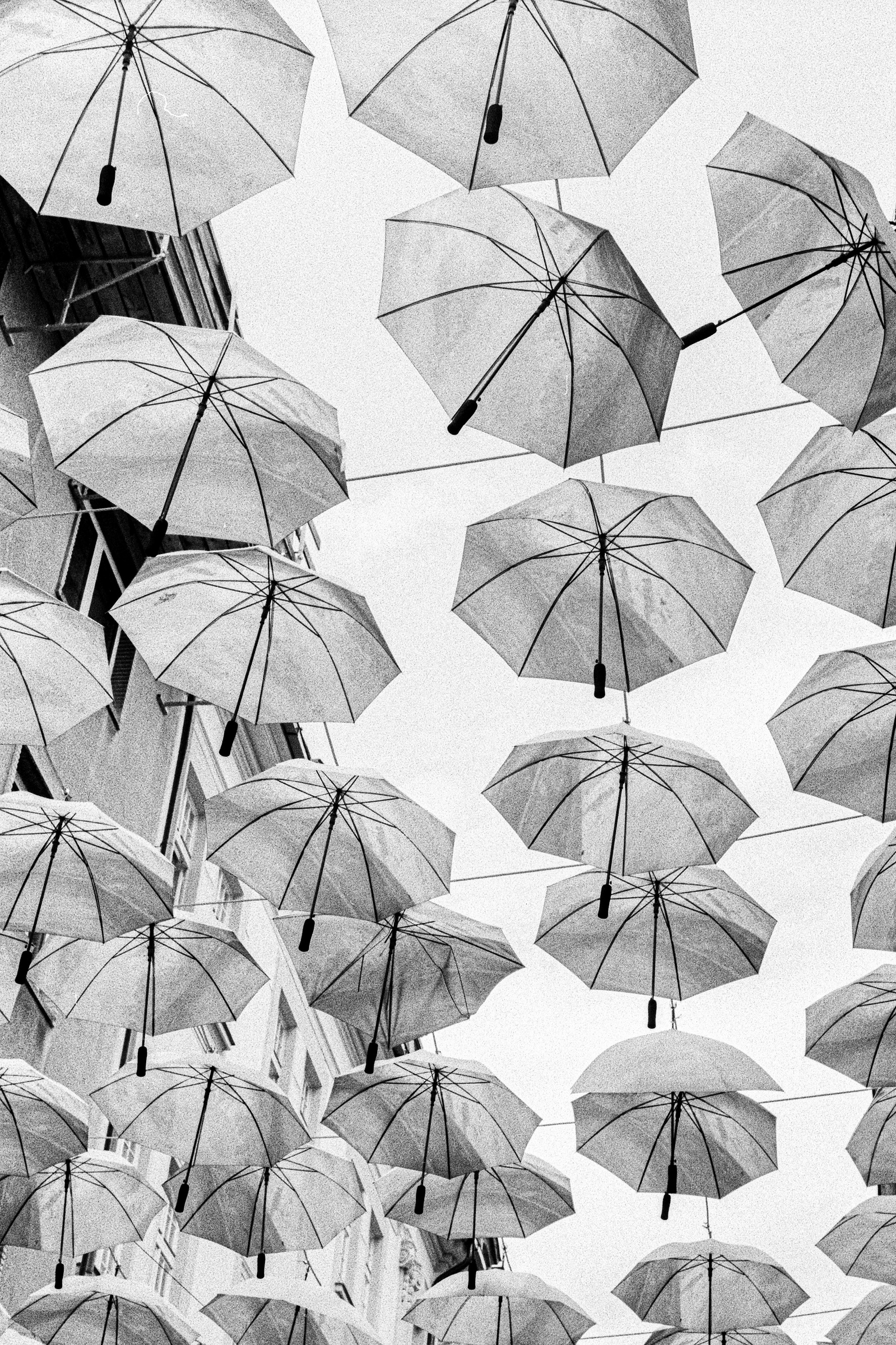 Photograph by Matthew James Fleming from the Journal : Number 4 Samizdat. Taken with Ilford HP5 35mm film in Bratislava, Slovakia.