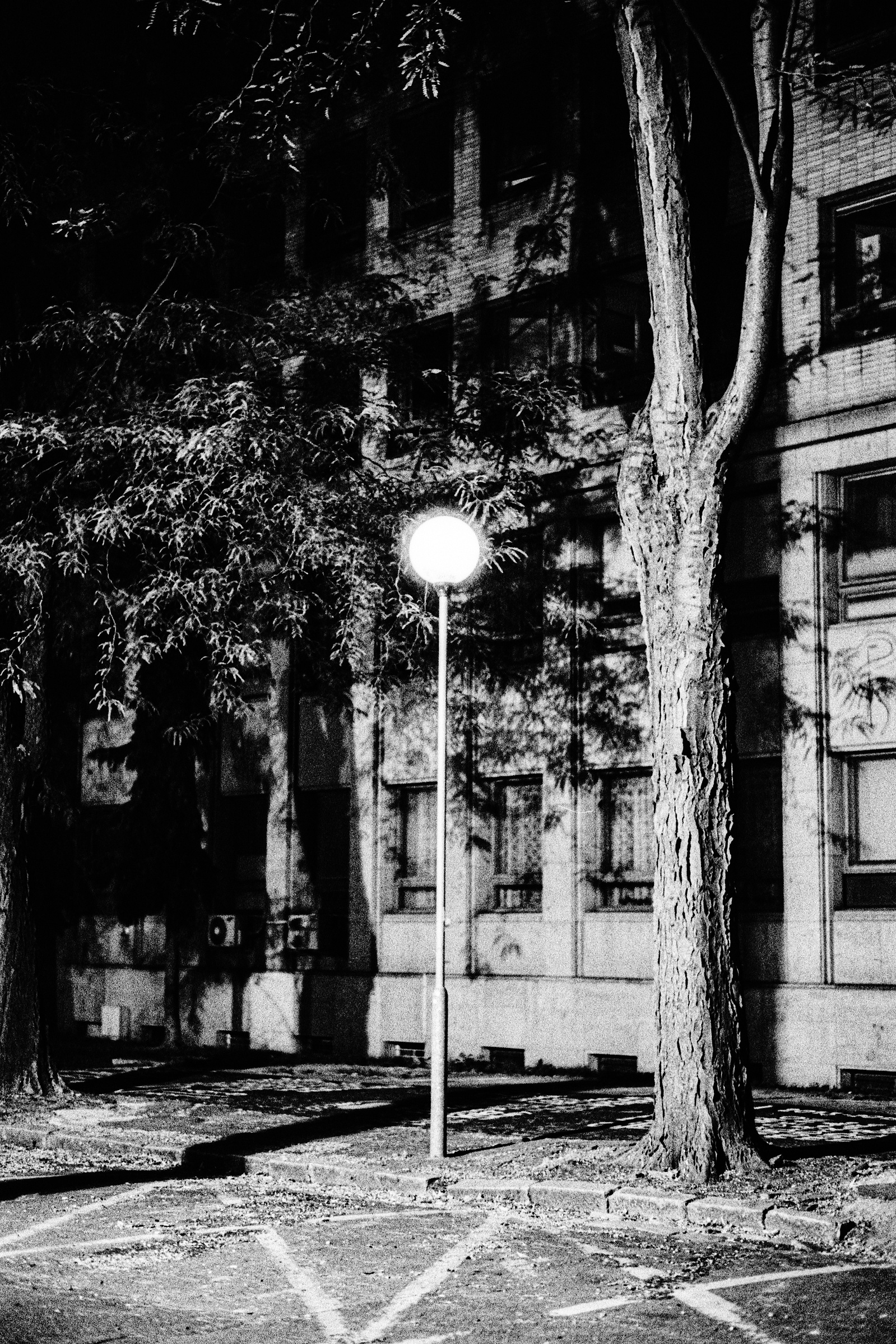 Photograph by Matthew James Fleming from the Journal : Number 4 Samizdat. Taken with Ilford HP5 35mm film in Bratislava, Slovakia.