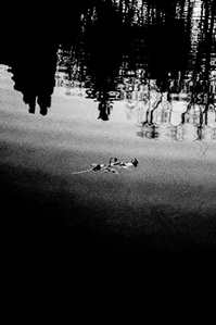 Photograph by Matthew James Fleming from the Journal : Number 5 The Past is a Foreign Country. Taken with Ilford HP5 35mm film in Lancashire, United Kingdom.