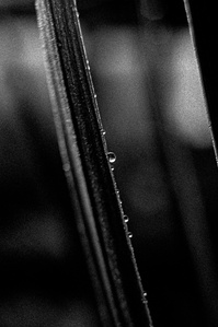 Photograph by Matthew James Fleming from the Journal : Number 5 The Past is a Foreign Country. Taken with Ilford HP5 35mm film in Lancashire, United Kingdom.