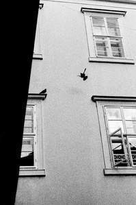 Photograph by Matthew James Fleming from the Journal : Number 4 Samizdat. Taken with Ilford HP5 35mm film in Bratislava, Slovakia.