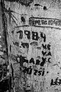 Photograph by Matthew James Fleming from the Journal : Number 4 Samizdat. Taken with Ilford HP5 35mm film in Bratislava, Slovakia.