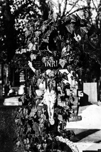 Photograph by Matthew James Fleming from the Journal : Number 3 The Gold of  Time. The Silver of Memory. Taken with Ilford HP5 35mm film in Prague.