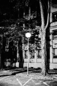 Photograph by Matthew James Fleming from the Journal : Number 4 Samizdat. Taken with Ilford HP5 35mm film in Bratislava, Slovakia.