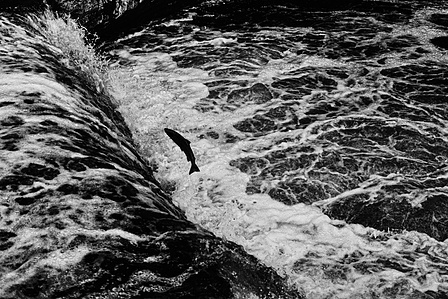 Photograph by Matthew James Fleming from the series &quot;Journal&quot;. Taken with Ilford HP5 35mm film in Lancashire. 