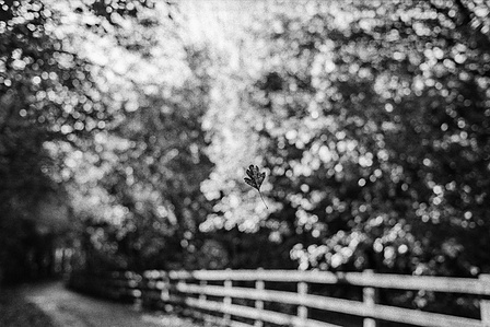 Photograph by Matthew James Fleming from the series &quot;Journal&quot;. Taken with Ilford HP5 35mm film in Lancashire. 