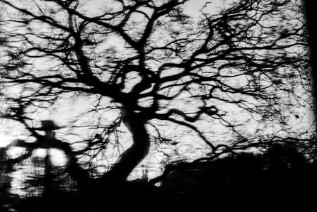 A tree sways in the wind and rain, Clitheroe.
Photograph from the series To Live and Die in Lancashire: Wet Paint by Matthew James Fleming. Taken with a Leica M6 and Ilford HP5 35mm film.