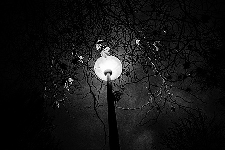 Photograph by Matthew James Fleming from the series &quot;Journal&quot;. Taken with Ilford HP5 35mm film in Lancashire. 