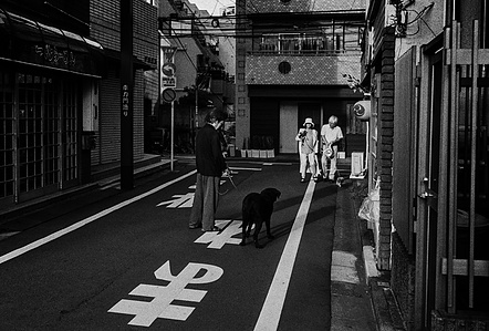 Two dogs eye each other cautiously on the streets of Tokyo. 
From the photographic series "In Praise of Shadows". Shot on black and white film by photographer Matthew Fleming. 