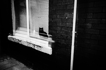 Photograph from the series To Live and Die in Lancashire: Goodbye Pork Pie Hat by Matthew James Fleming. Taken with a Ricoh GR1V and Ilford HP5 35mm film. 
A cat sits in the window of a terraced house, Preston.