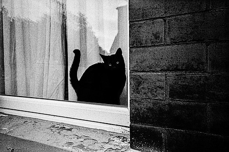 Photograph by Matthew James Fleming from the Journal : Number 5 The Past is a Foreign Country. Taken with Ilford HP5 35mm film in Lancashire, United Kingdom.