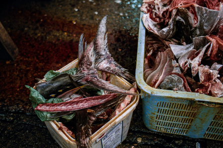 Discarded fish tails at the now closed Tsukiji Fish Market, Tokyo. 
Photograph from the series Forbidden Colours by Matthew James Fleming. Taken with a Leica M6 and Kodak Portra 800 35mm film.