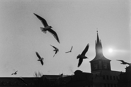 Photograph by Matthew James Fleming from the Journal : Number 3 The Gold of  Time. The Silver of Memory. Taken with Ilford HP5 35mm film in Prague.