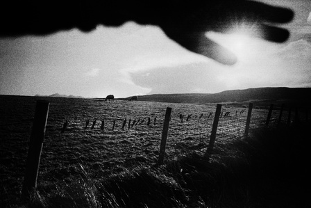 Dead moles hang from a fence, a sign that the mole catcher has completed their job. Ricoh GR1V, Ilford HP5. Matthew Fleming, Lancashire.