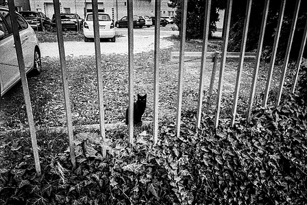 Photograph by Matthew James Fleming from the Journal : Number 4 Samizdat. Taken with Ilford HP5 35mm film in Bratislava, Slovakia.