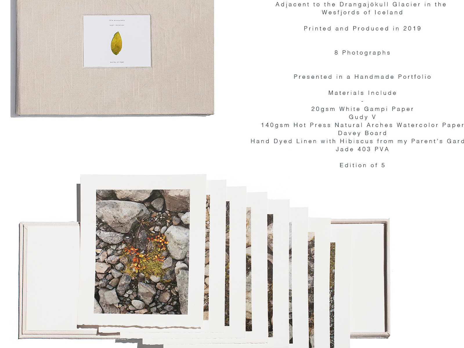 Wesley Stringer Little Ecosystems - Wesley Stringer
