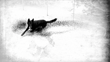 kathleen weldon, animation, music video, martha wainwright, lucy wainwright, wainwright sisters, el condor pasa