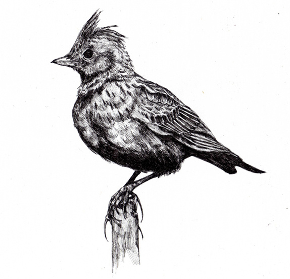 Kathleen Weldon Arts