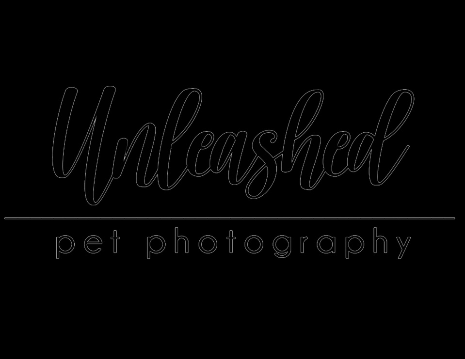 Unleashed Pet Photography