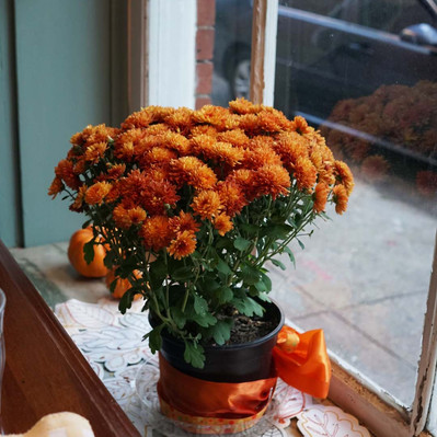 Street photography in colors of the french street photographer David Décamps representing orange flowers in New Orleans, USA.