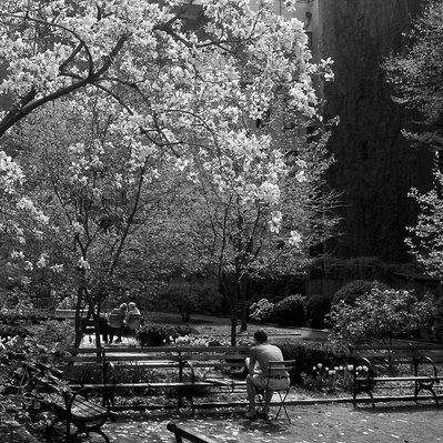 Black and white street photography of the french street photographer David Décamps representing three people in a park in New York City, USA.