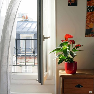 Street photography in colors of the french street photographer David Décamps representing an open window with the wind entering in the room.