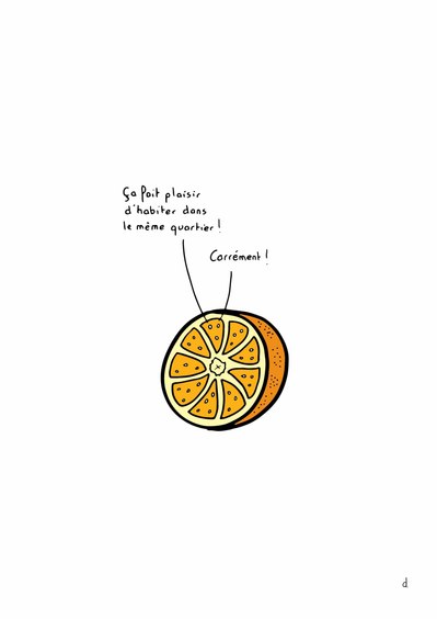 Illustration de David Décamps alias Deydai représentant deux pépins qui discutent dans une orange.
