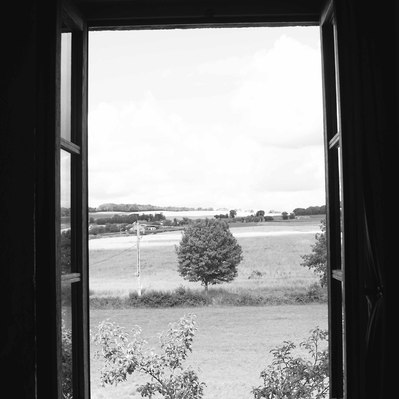 Black and white street photography of the french street photographer David Décamps representing the view of a lonely tree from a window in Chapaize, France.
